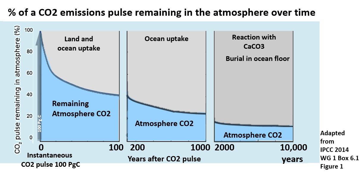 durees absorption co2 atmosphere