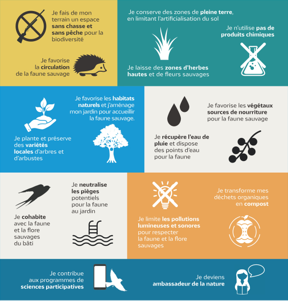 conseils jardin pour oiseaux LPO